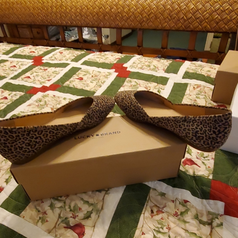 SHOES - Picture 4 of 6
